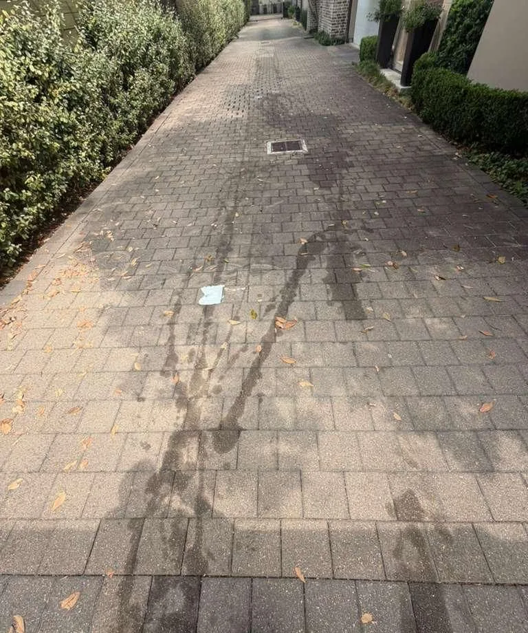 Before: hydraulic fluid trail from a roll-off truck running down a shared paver driveway in Houston